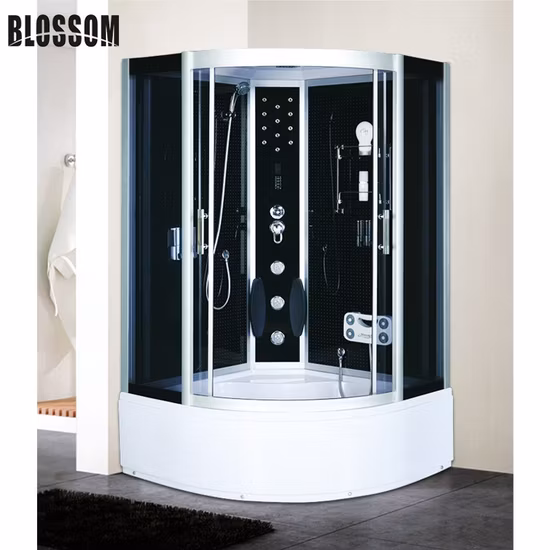 Badezimmer, Computer, Glas, kompletter Dampfduschraum mit Whirlpool